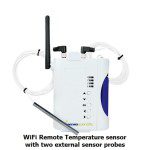 remote-temperature-sensor-two-external-probes
