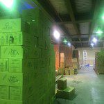 temperature-mapping-study-cold-storage